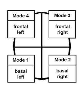 brain assessment - personality assessing