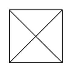 euler puzzle