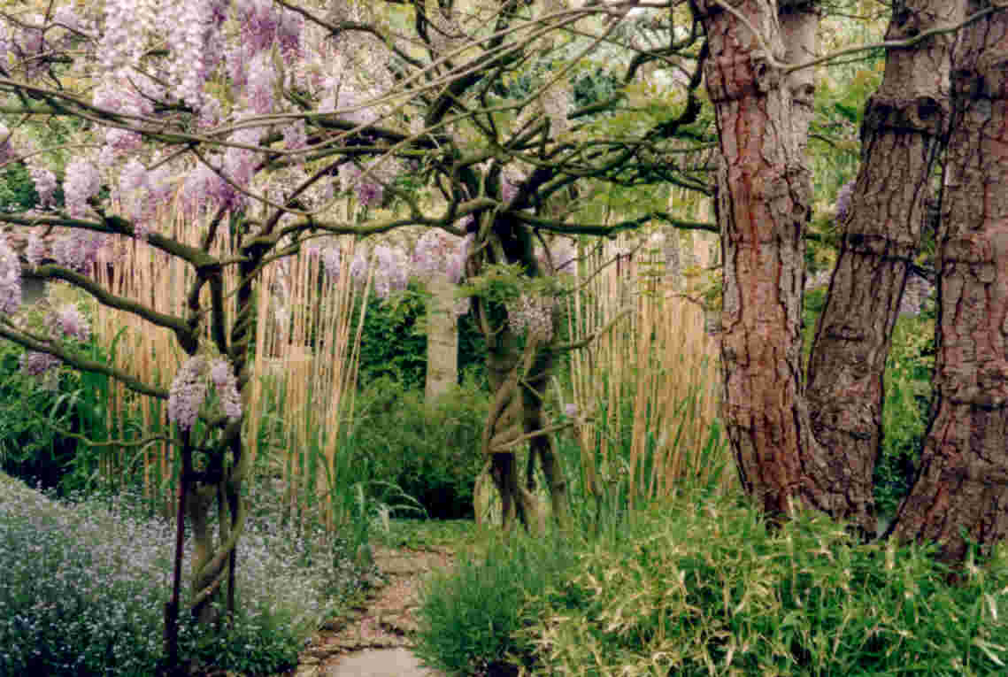 pureland japanese garden