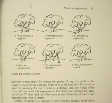 treeswing-pic-TQM