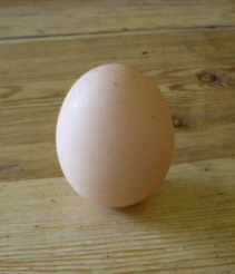 balance-an-egg