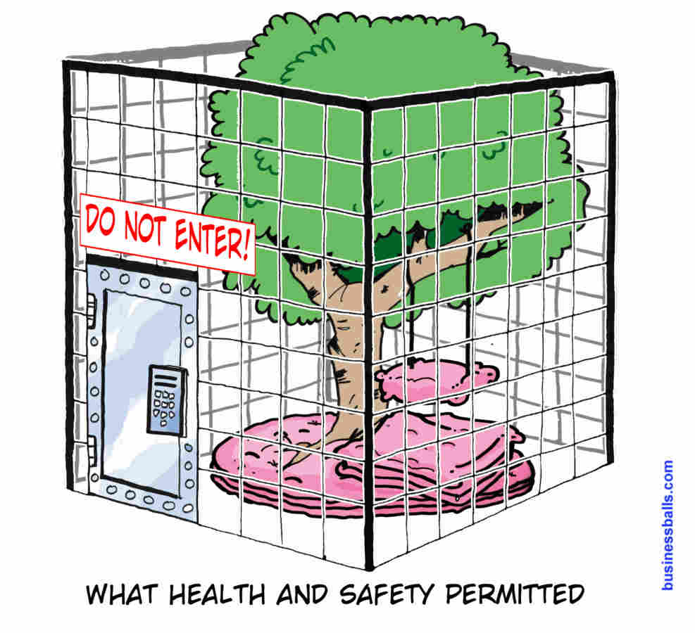 treeswing - what health and safety permitted